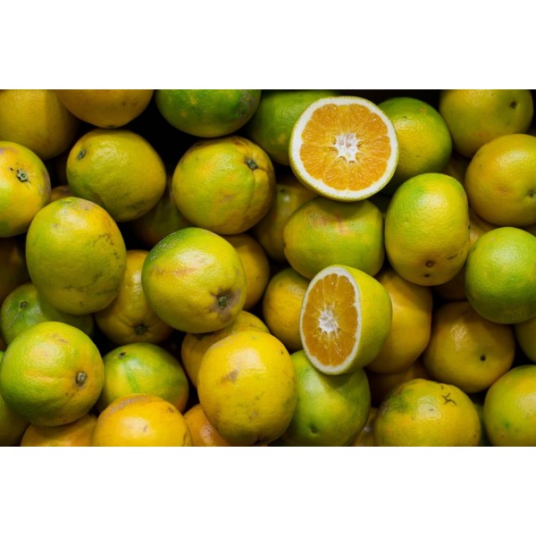 Sweet Lime - Organically Grown